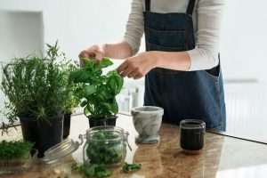 Evde kendi olanaklarıyla bitki yetiştirmek isteyenlere 5 öneri