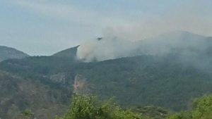 Muğla'da orman yangını! 2 hektar kızılçam küle döndü