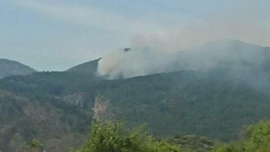 Photo of Muğla’da orman yangını! 2 hektar kızılçam küle döndü