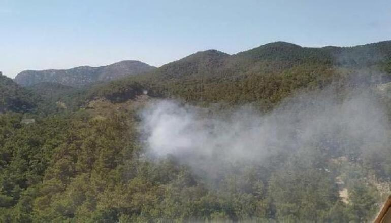 Muğlada orman yangını 2 hektar kızılçam küle döndü